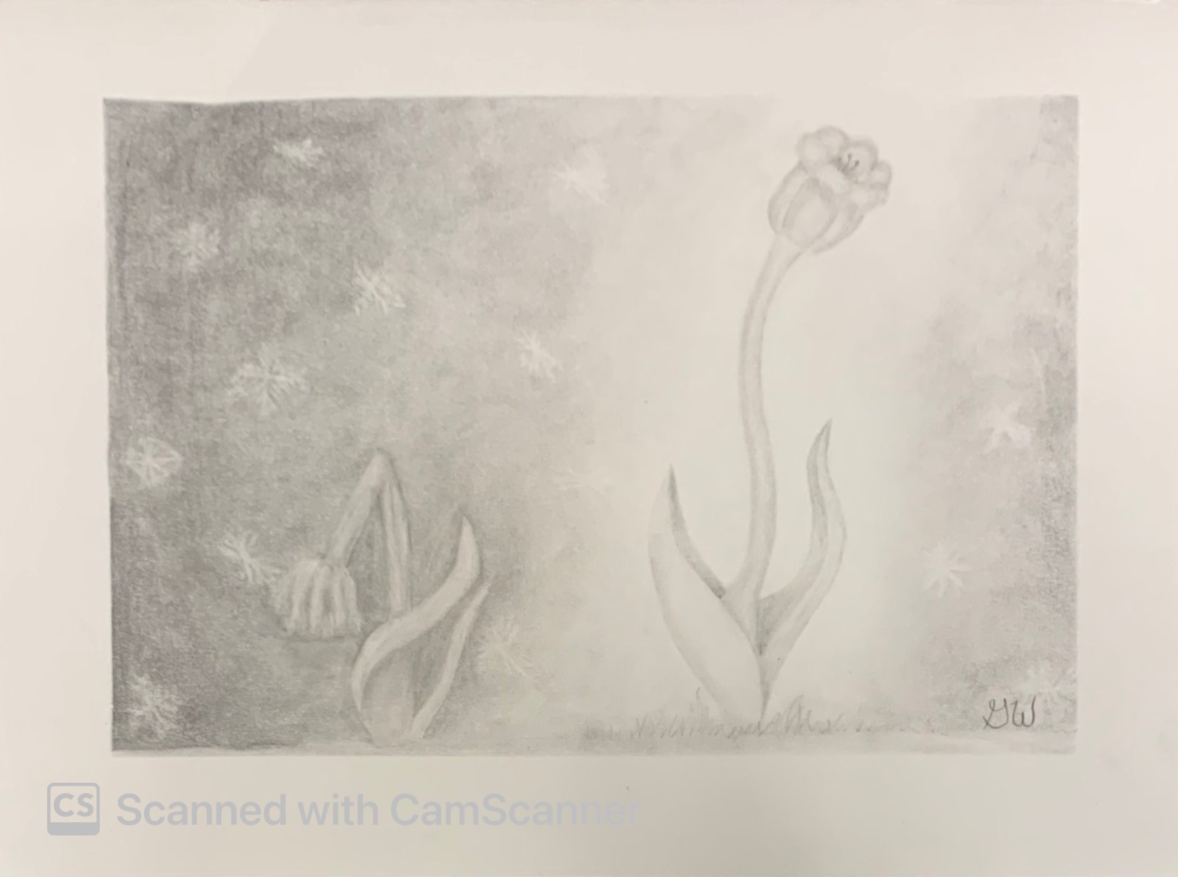 finished drawing